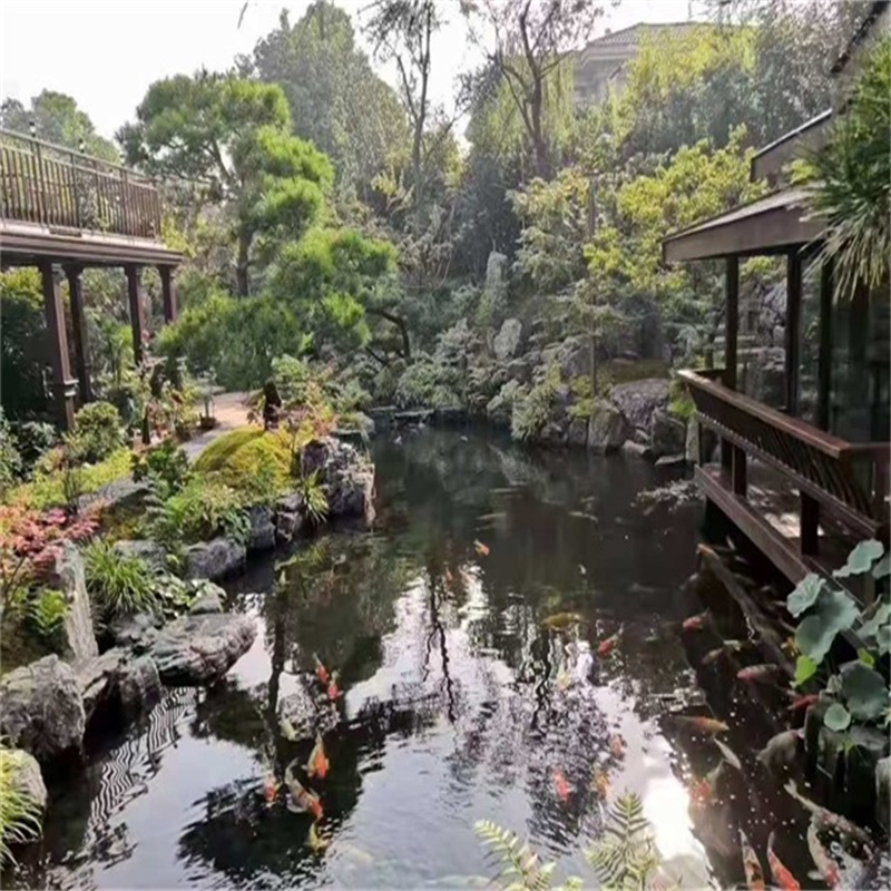 海州小庭院假山鱼池
